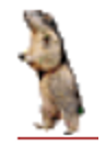 une marmotte